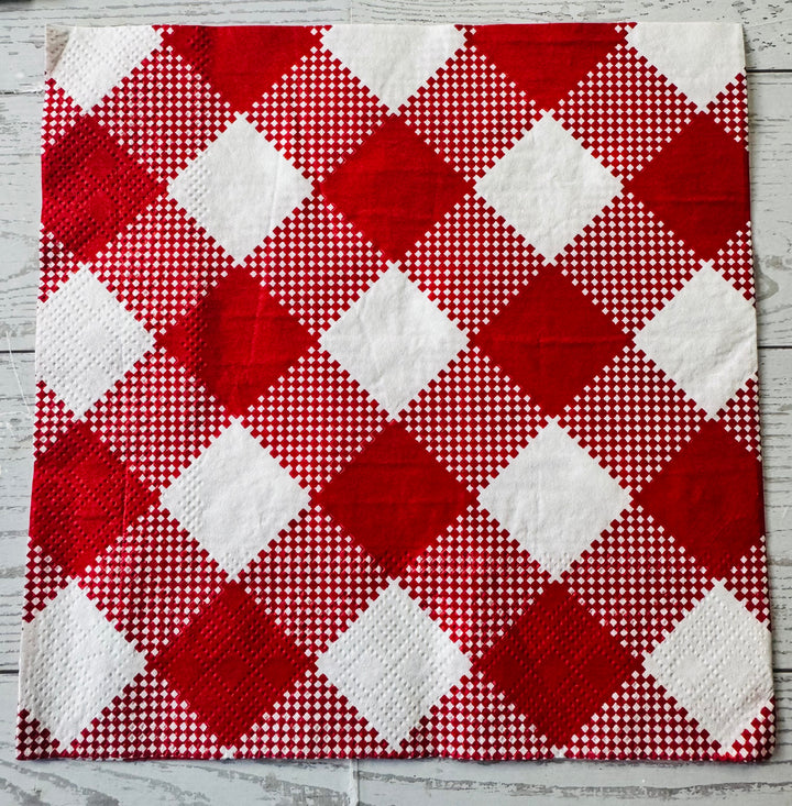 Watermelon Berry Napkin Bundle