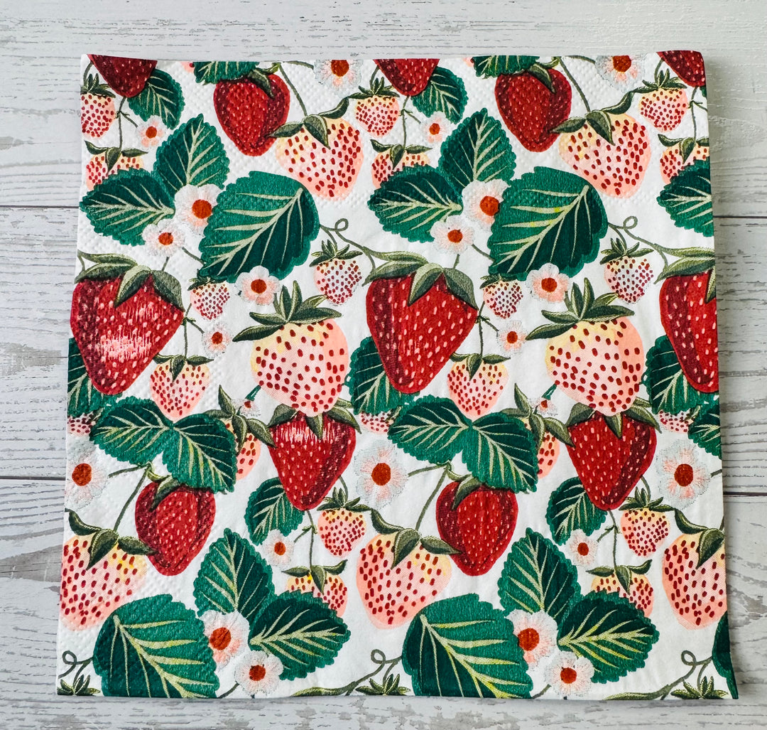 Watermelon Berry Napkin Bundle