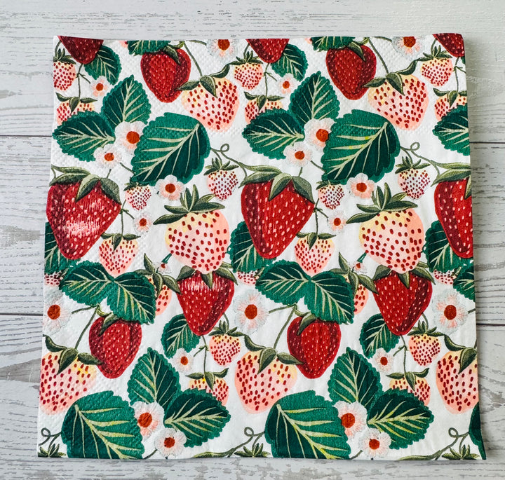 Watermelon Berry Napkin Bundle