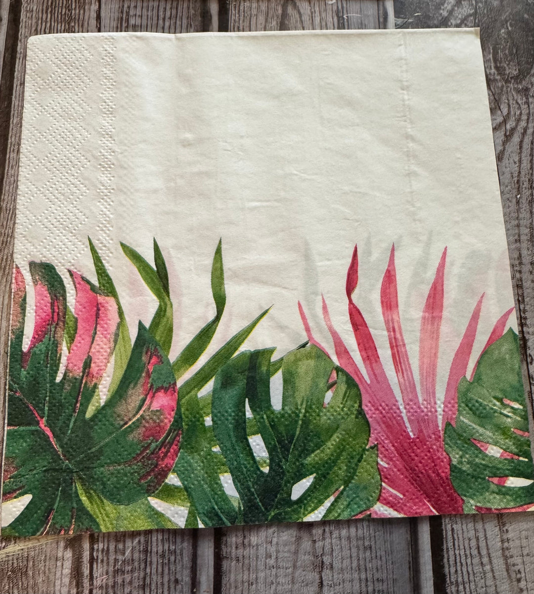 Tropical Summer bundle