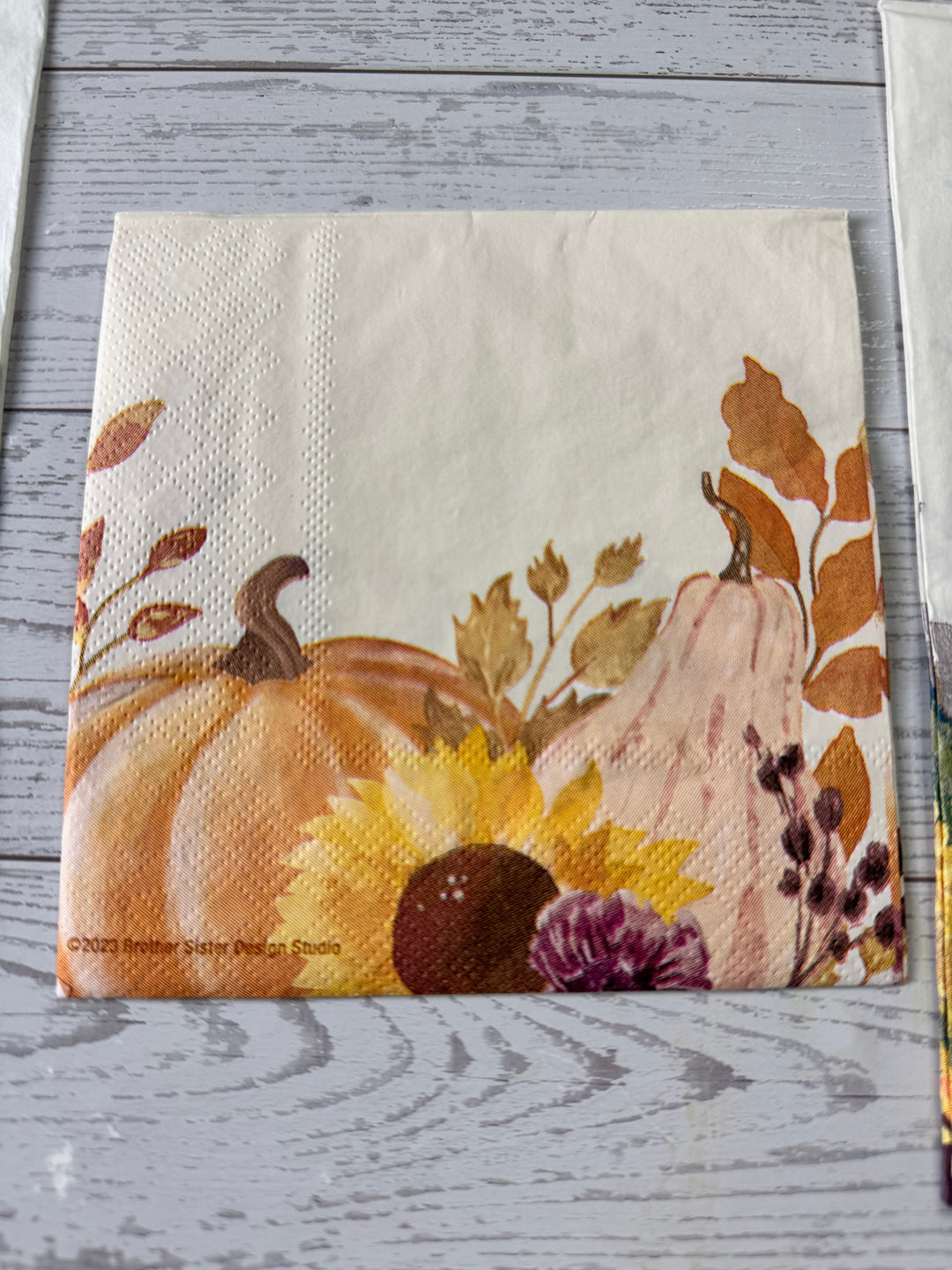 Fall napkin bundle