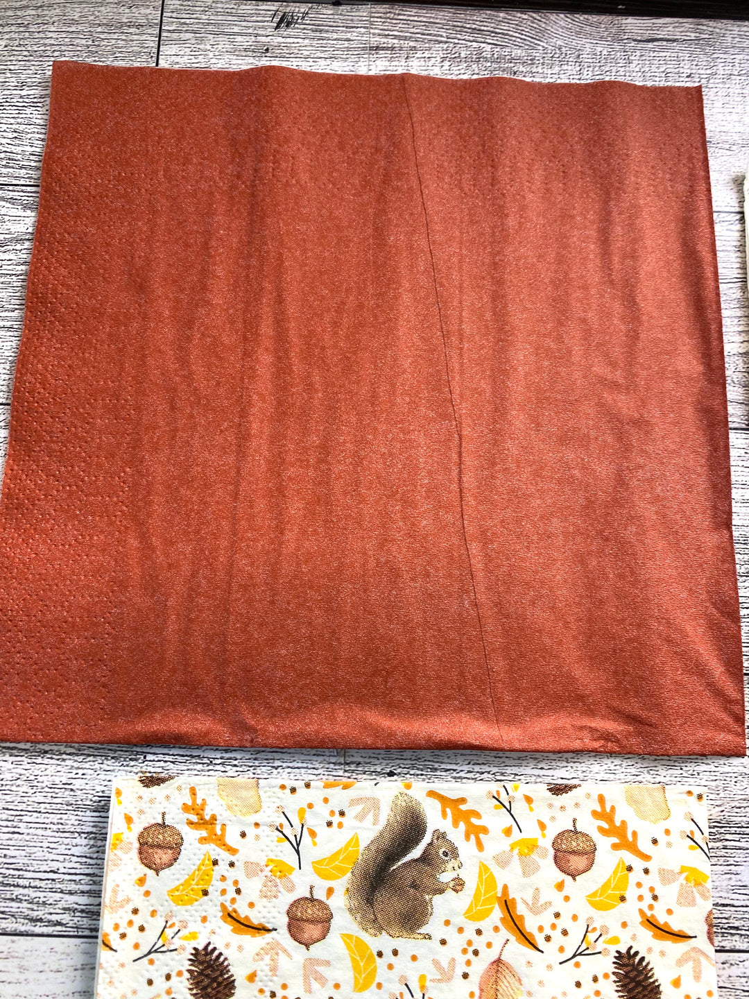 Highland Cow Fall Napkin Bundle