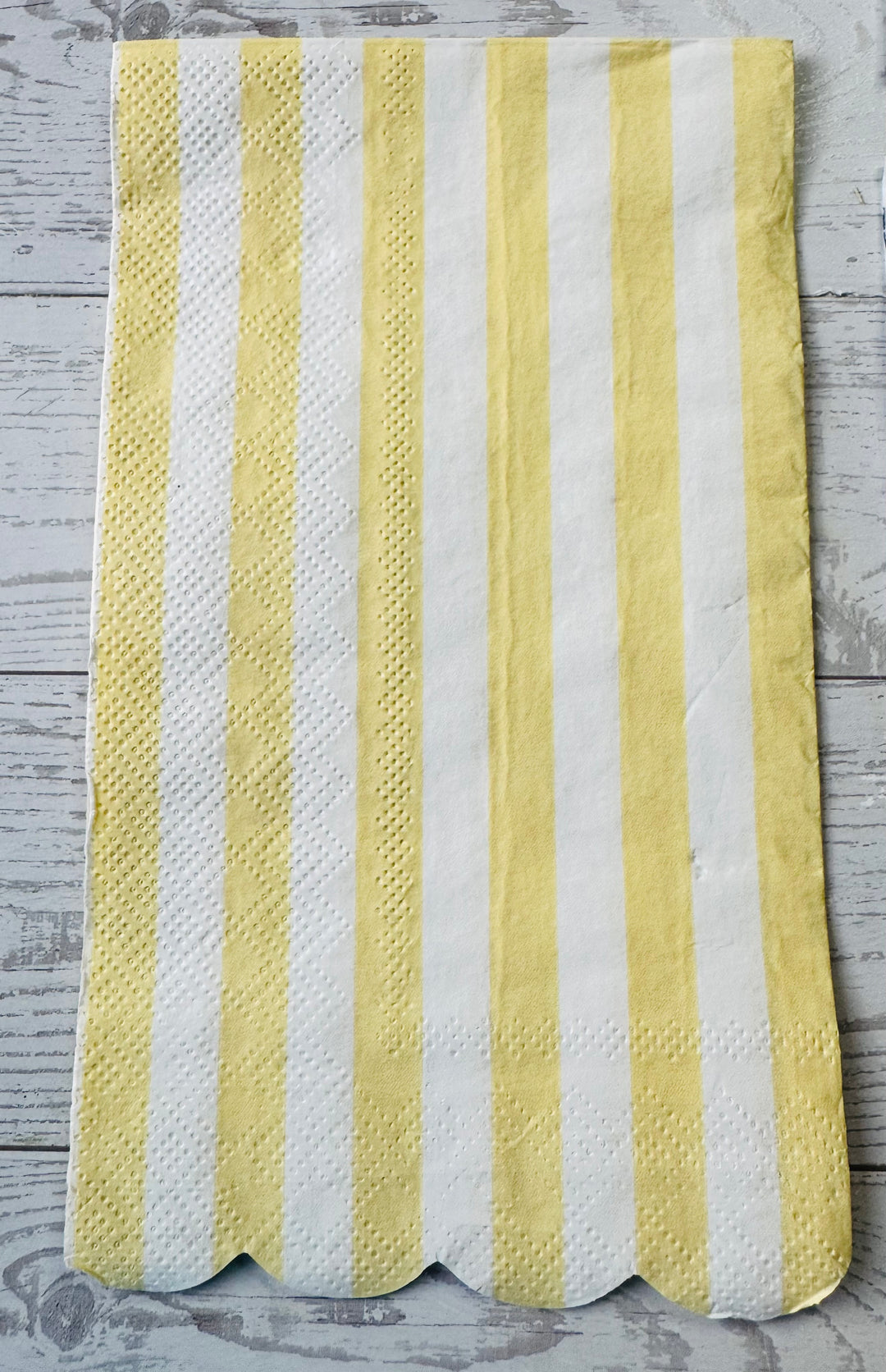 Coastal Blue napkin bundle