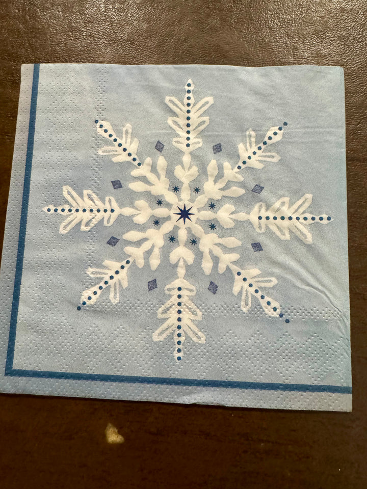 Winter napkin bundle