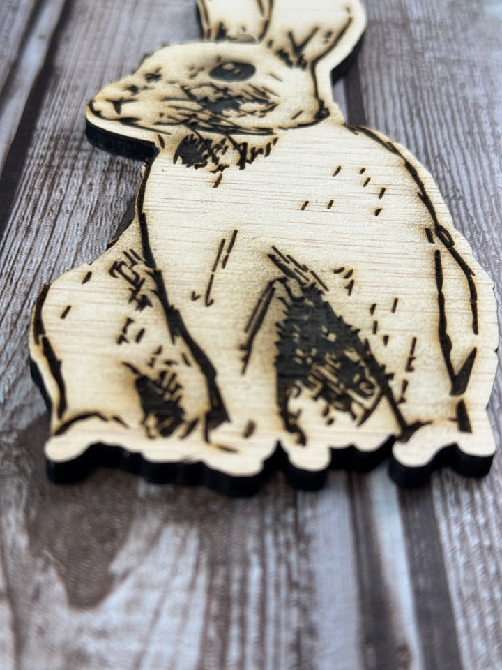 Etched Bunny