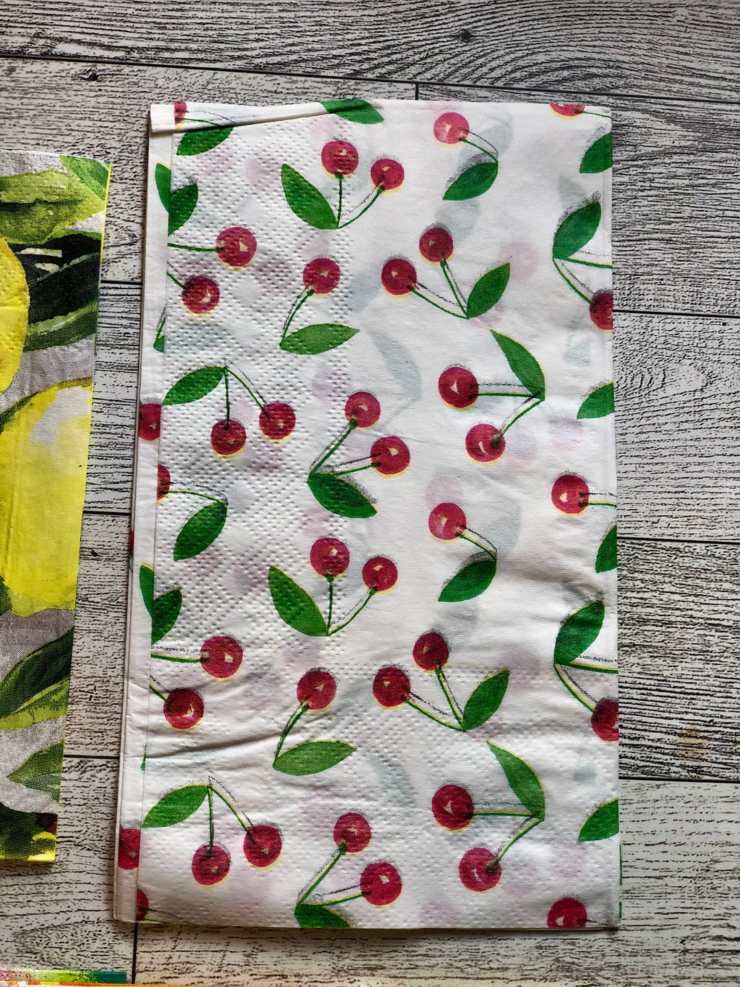 Summer Fruit Napkin Bundle